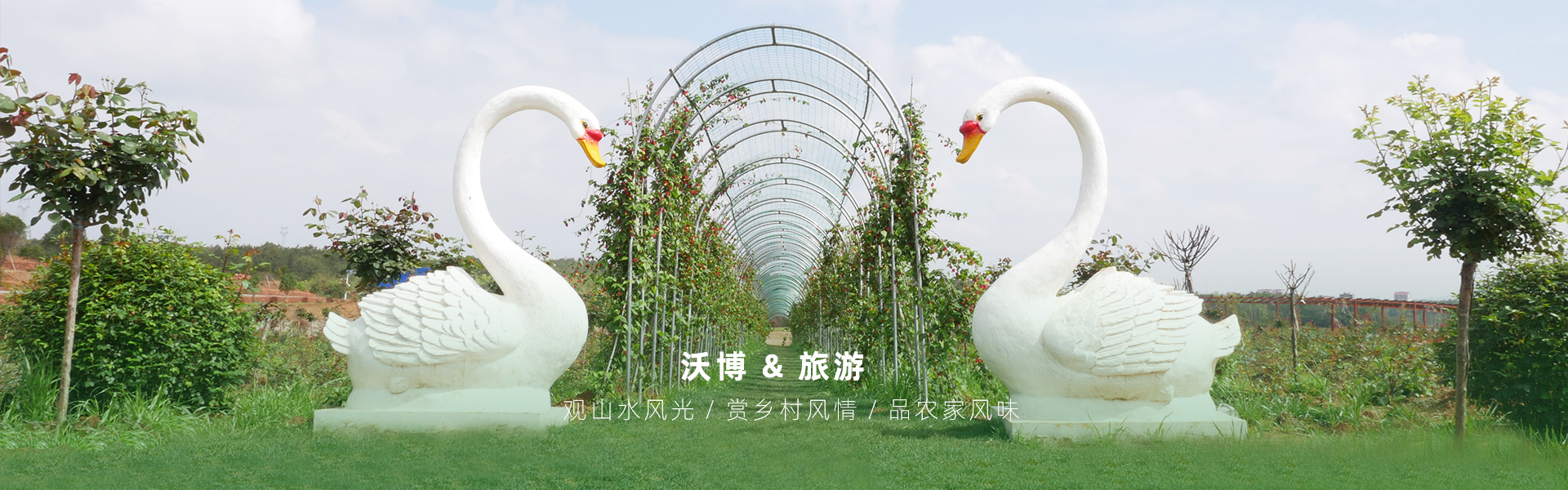 鮮果采摘都有江西沃博吳茱萸、江西沃博花海、江西沃博蔓荊子、江西沃博金銀花等品種，同時也是一家江西婚紗攝影旅拍基地和江西花海打卡基地，可以提供紫薇花花海造型服務，花花世界看沃博花海，相信我們這里不會讓大家失望的